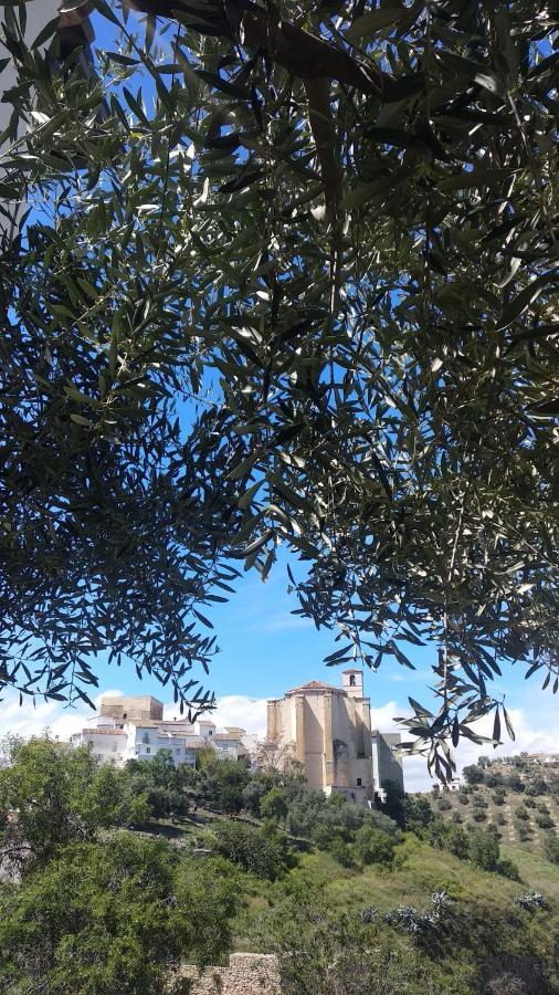 Apartamento El Carmen Setenil De Las Bodegas エクステリア 写真