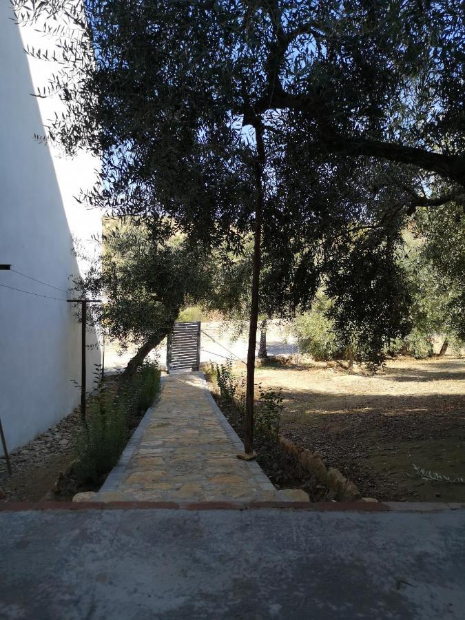 Apartamento El Carmen Setenil De Las Bodegas エクステリア 写真